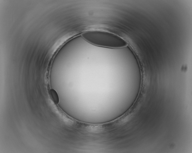 X0000112860893200908211052