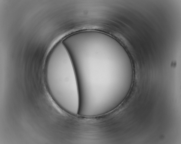 X0000112860894200908211052
