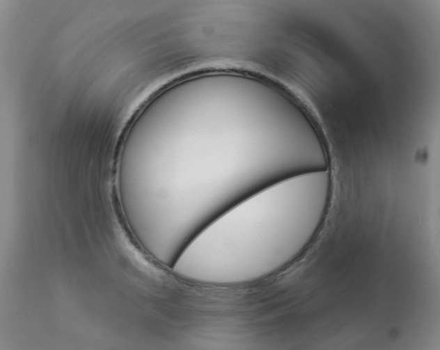 X0000112860895200908211052