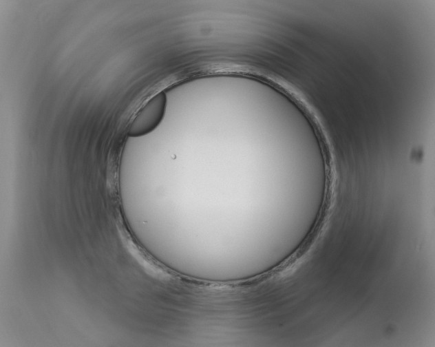 X0000112860897200908211052