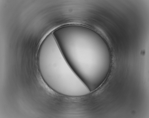 X0000112860900200908211052