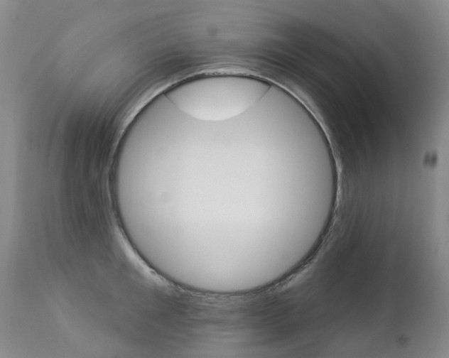 X0000112860901200908211052