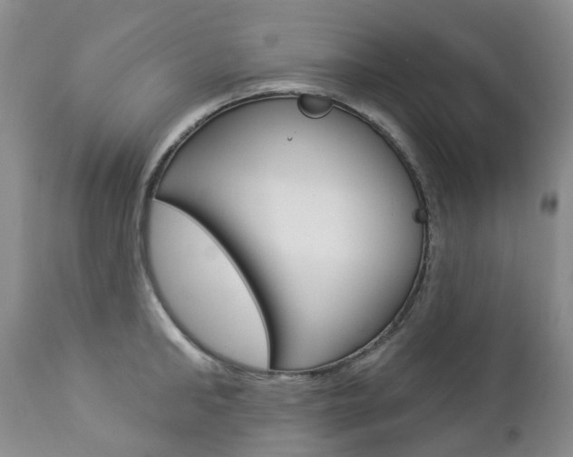 X0000112860902200908211052