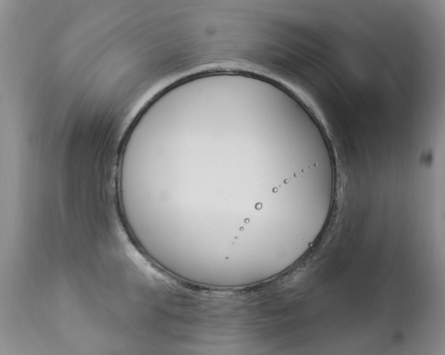 X0000112860903200908211052