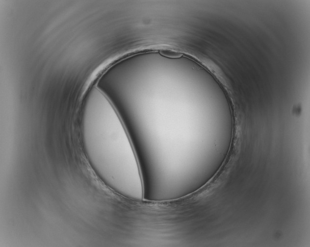 X0000112860904200908211052