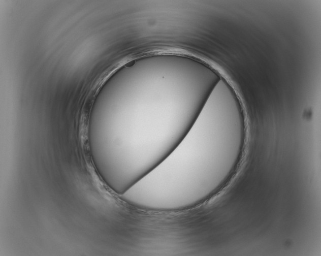 X0000112860905200908211052