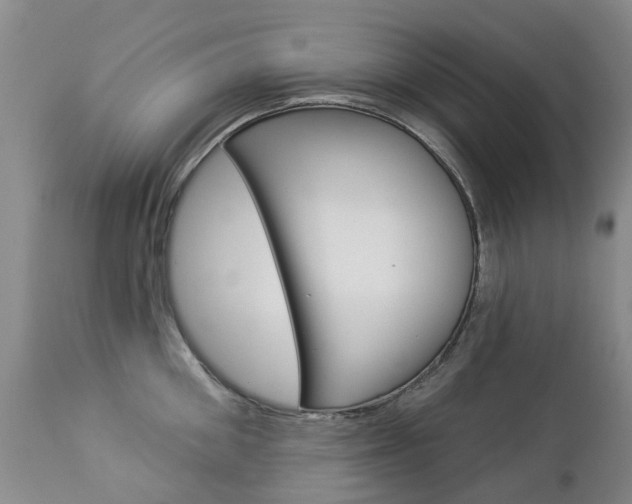 X0000112860906200908211052