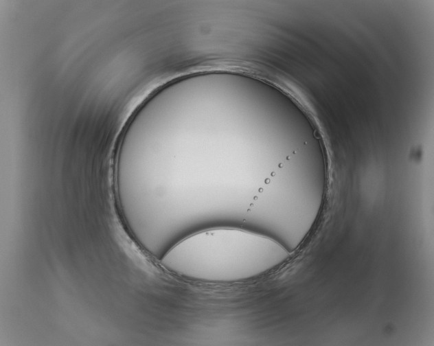 X0000112860907200908211052