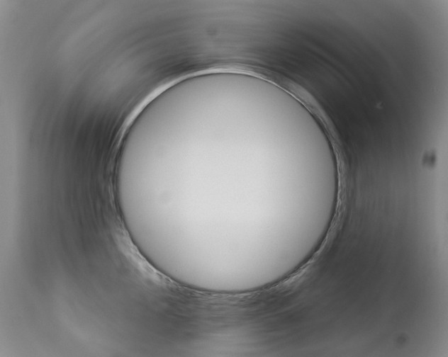 X0000112860908200908211052