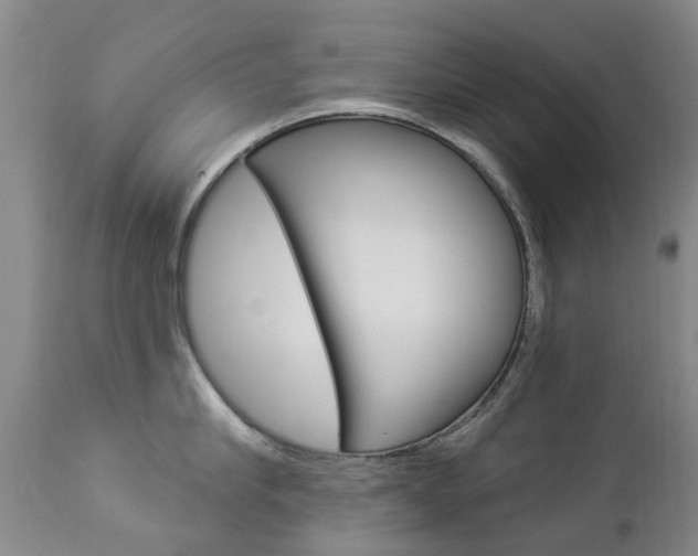 X0000112860910200908211052