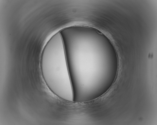 X0000112860912200908211052
