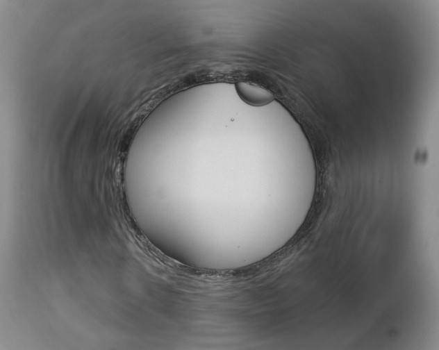X0000112860914200908211051