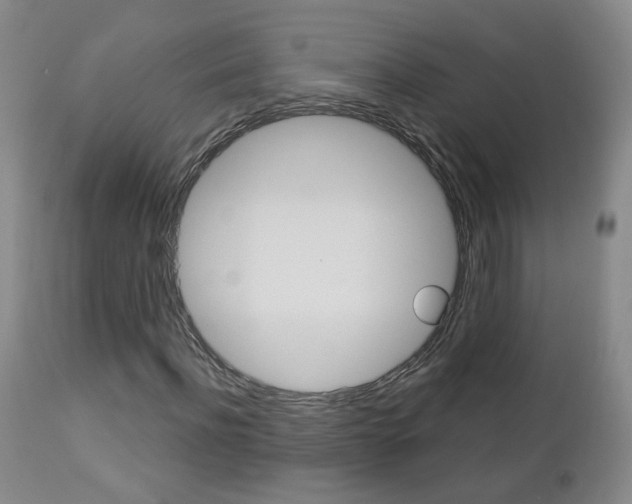 X0000112860916200908211051