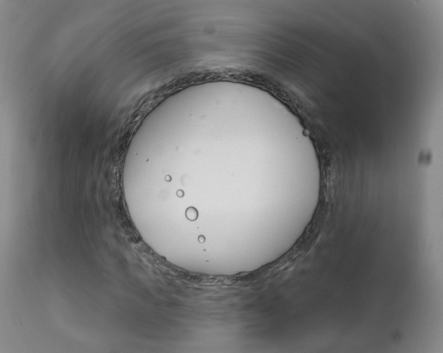 X0000112860917200908211051