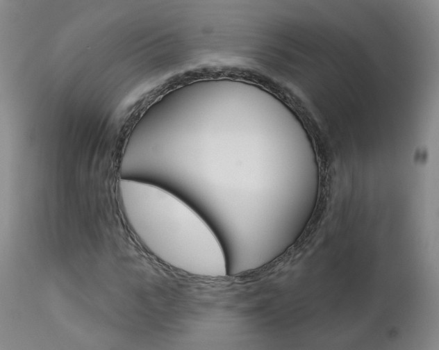X0000112860919200908211051