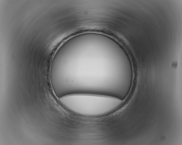 X0000112860922200908211051