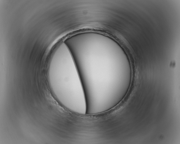 X0000112860923200908211051