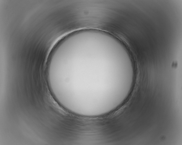 X0000112860924200908211051