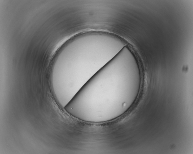 X0000112860925200908211051