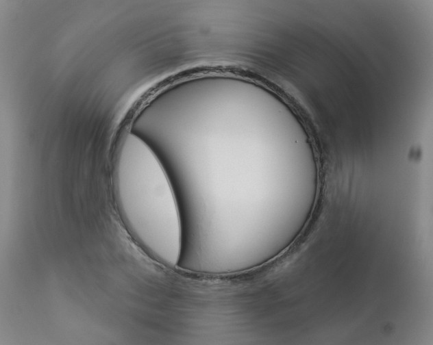 X0000112860927200908211051