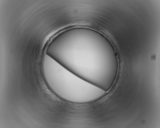 X0000112860928200908211051