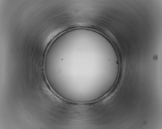 X0000112860930200908211051