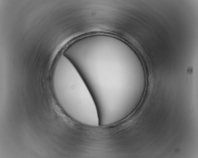 X0000112860931200908211052