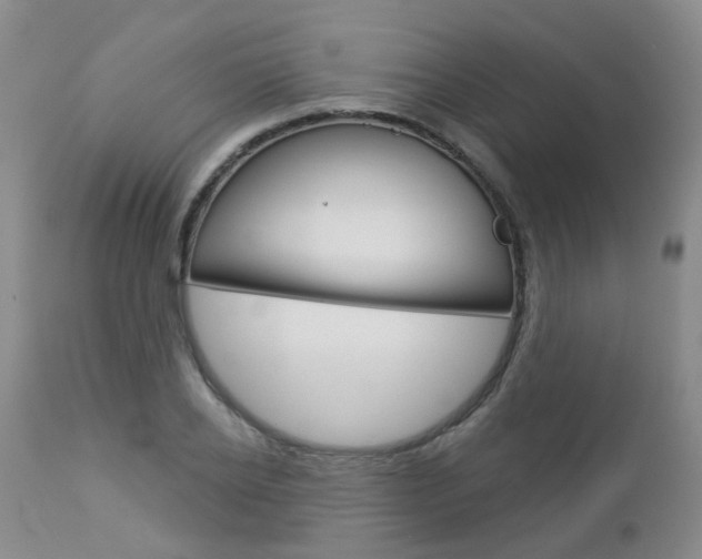 X0000112860934200908211052