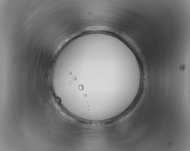 X0000112860937200908211052