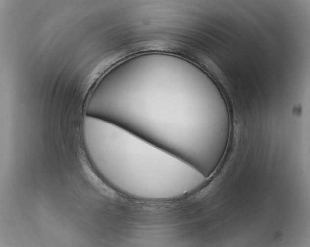 X0000112860938200908211052