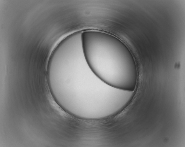 X0000112860940200908211052