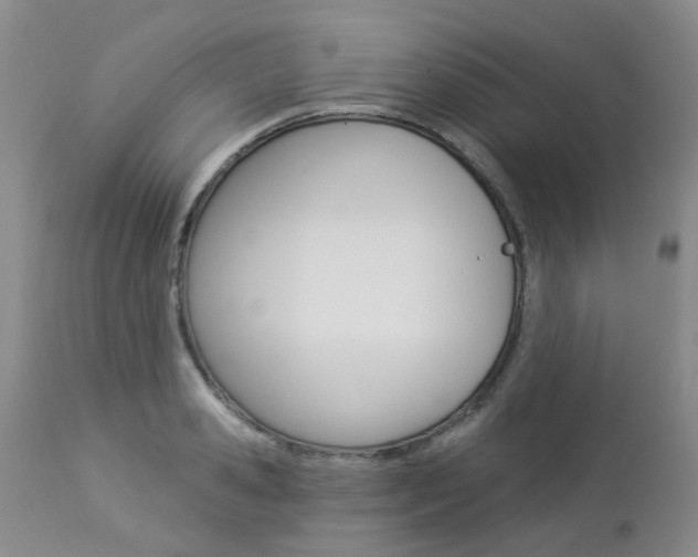 X0000112860941200908211052