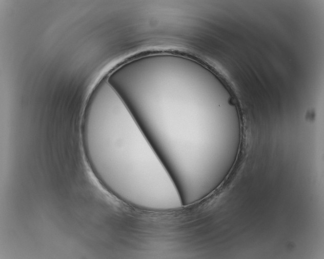 X0000112860943200908211052