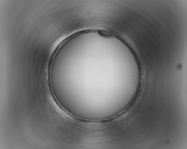 X0000112860944200908211052