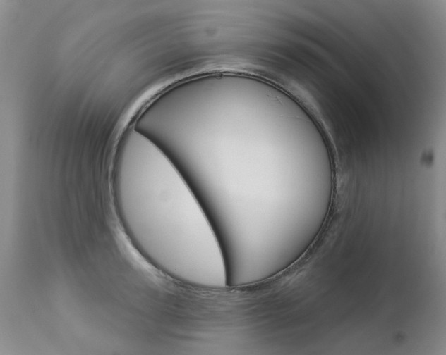 X0000112860947200908211052