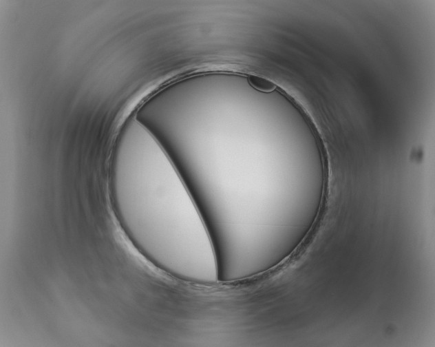 X0000112860949200908211052