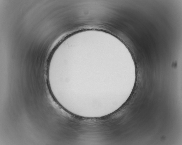 X0000112860950200908211052