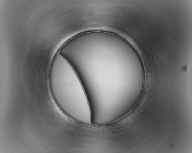 X0000112860951200908211052