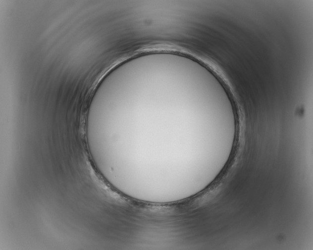 X0000112860953200908211052