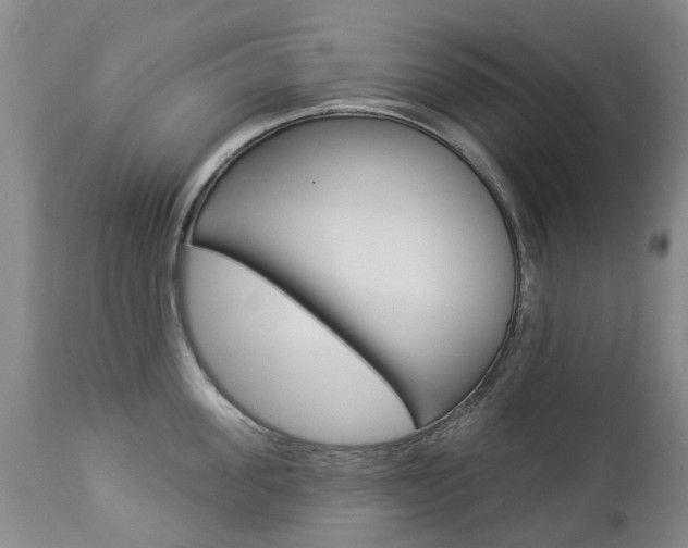 X0000112860955200908211052