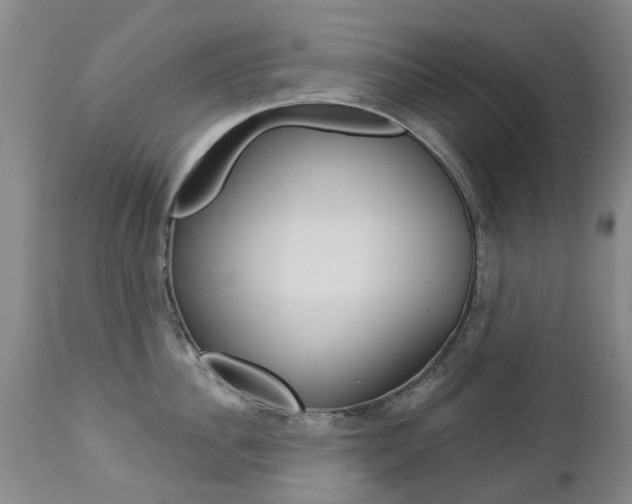 X0000112860956200908211052