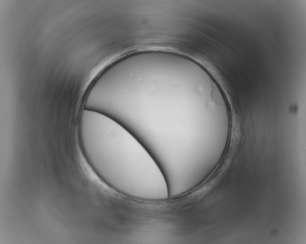 X0000112860957200908211052