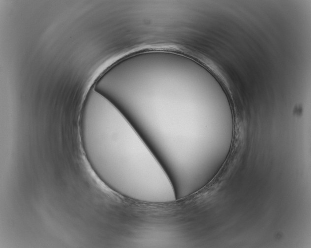 X0000112860959200908211052