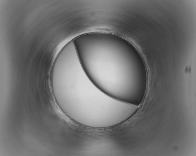 X0000112860960200908211052