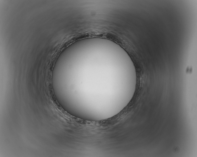 X0000112860961200908211051