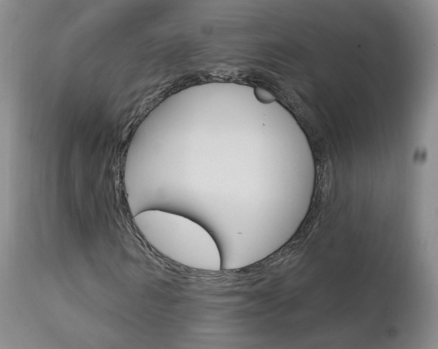 X0000112860962200908211051