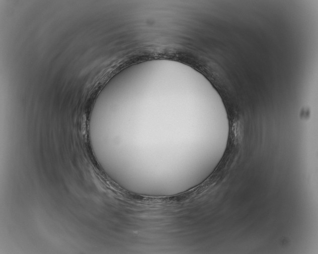 X0000112860963200908211051