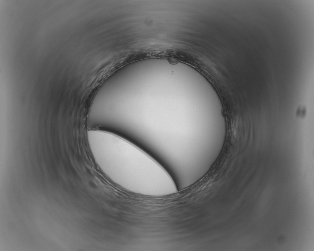 X0000112860964200908211051