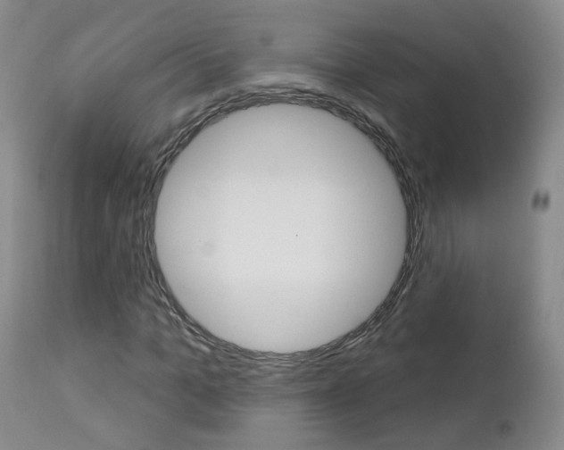 X0000112860965200908211051