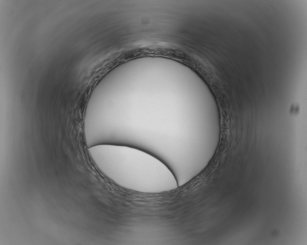 X0000112860966200908211051